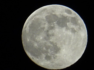 DSC00629.JPG