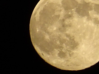 DSC00667.JPG
