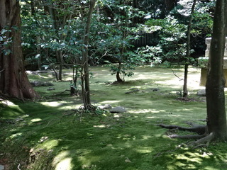 DSC00705.JPG
