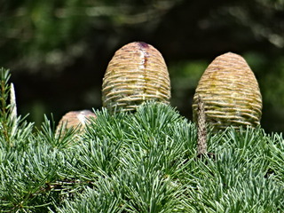 DSC00961.JPG