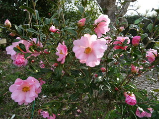 DSC01311.JPG