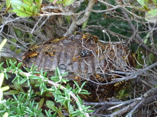 DSC01447.JPG