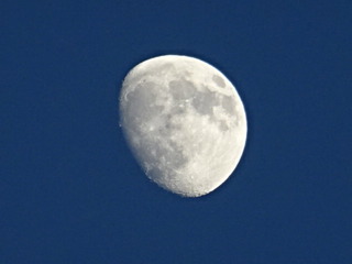 DSC01924.JPG