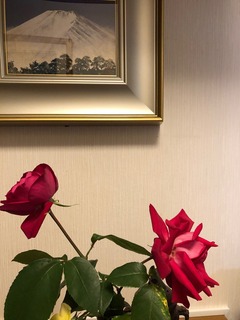 IMG_0917.jpg