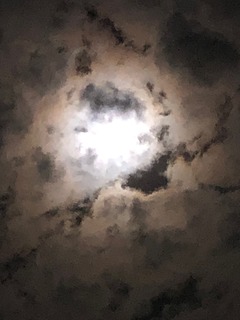 IMG_0976.jpg