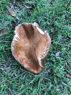 IMG_1028.jpg