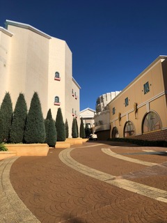 IMG_3378.jpg