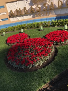 IMG_3380.jpg