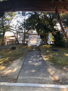 IMG_3390.jpg
