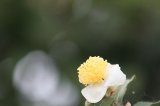IMG_7723.JPG